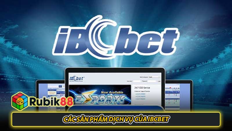 Các sản phẩm dịch vụ của IBCbet